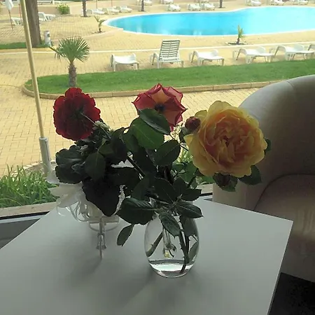Kamenec Nesebar