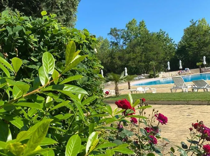 Отель Kamenec 3*