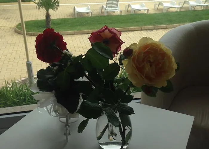 Отель Kamenec 3*